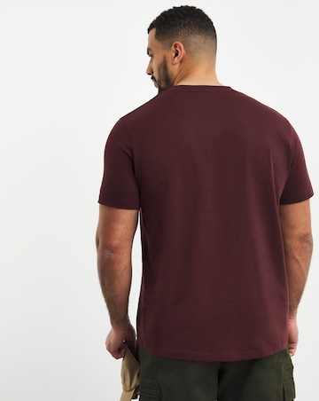 Pure Cotton V Neck T-Shirt Long