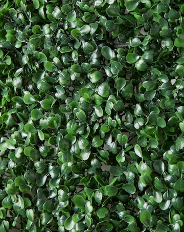 Boxwood Screening Panel 60x40cm