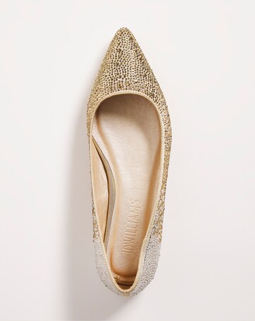 Ombre Sparkle Pointed Shoe - Extra Wide Fit (EEE)