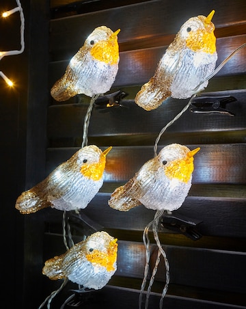5 Robin Clip on Lights