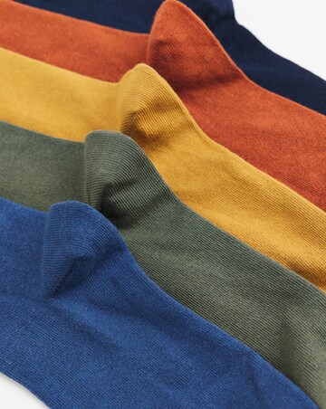 5 Pack Bear Embroidered Socks