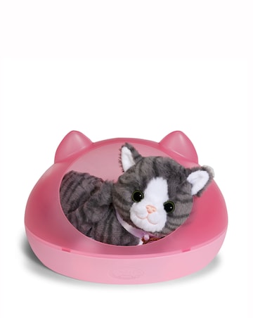 BABY born My Cat Cookie