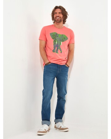 Joe Browns Superb Stripe Elephant Tee Long Length