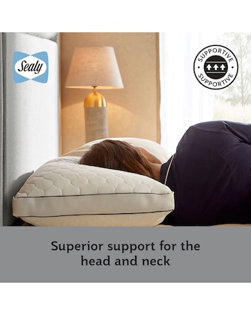 Sealy Side Sleeper Pillow
