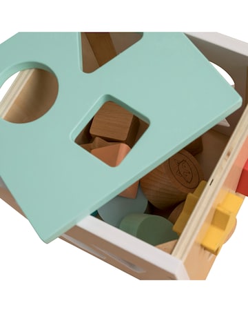 TP Owl & Fox Shape Sorter