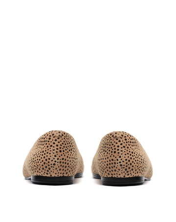 Clarks Animal Print Livia Lily Shoes - Standard Fit (D)