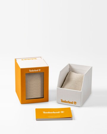 Timberland Ripley Z Brown Leather Strap Watch