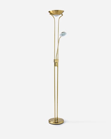 Dual Purpose Floor Lamp with Adjustable Reading Light