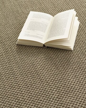 Sisal Border Rug