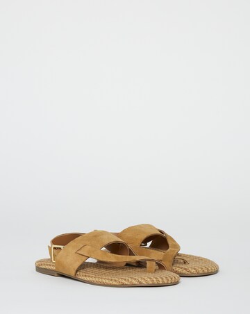 Catalina Suede Toe Post Sandals - Wide Fit (E)