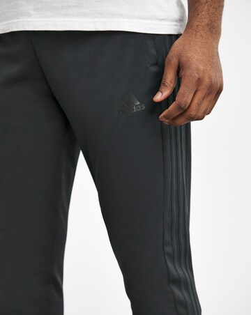 adidas Tiro Pants