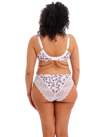 Elomi Lucie High Leg Knicker Rumble