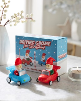 Driving Gnome For Christmas