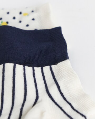 Pretty Secrets (5 Pair Pack) Trainer Liner Socks (Wide Fit) Lemon Stripe