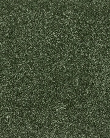 Buddy Washable & Stain Resistant Rug