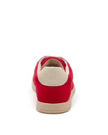 Rocket Dog Bertie Colour Trainers