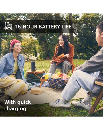 Sony SRSXG300 Portable Speaker - Black