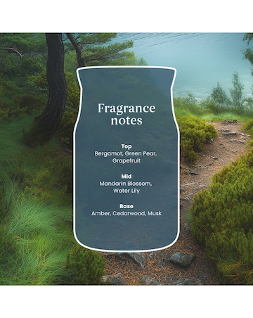 Yankee Candle Signature Large Bayside Cedar