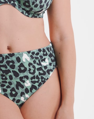 Elomi Jungle Bay Mid Rise Bikini Brief Olive