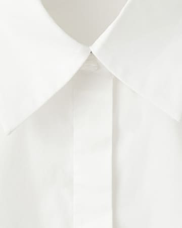 Mango Shirt