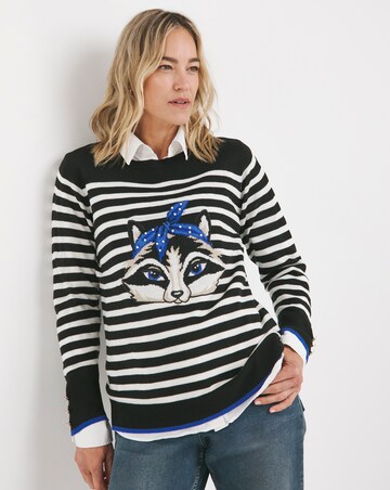 Joe Browns Curiously Cute Racoon Jumper