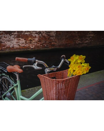 Dawes Elegance Electric Bike