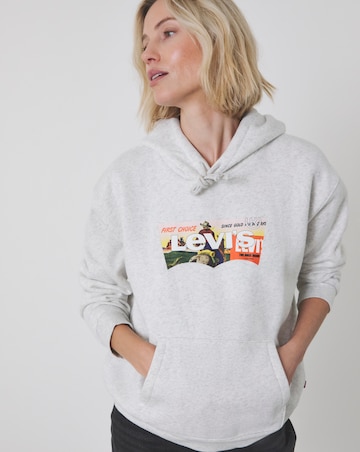 Levi's Graphic Everyday Hoodie