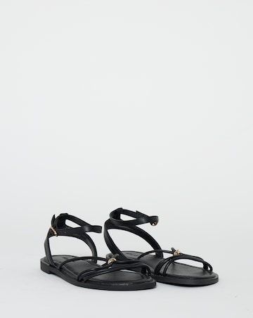Toni Strappy Hardware Detail Flat Sandals - Extra Wide Fit (EEE)