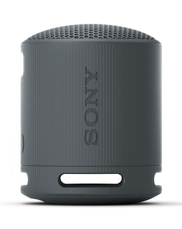 Sony SRS-XB100 Portable Speaker - Black - Image