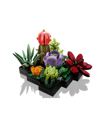 LEGO Creator Botanicals 10309