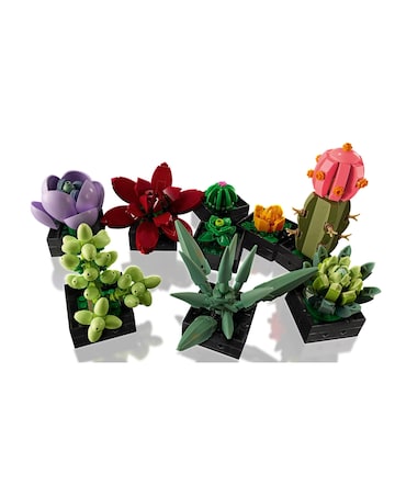 LEGO Creator Botanicals 10309