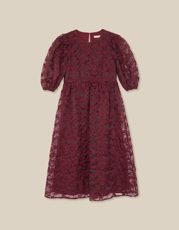 Monsoon Wren Embroidered Organza Dress
