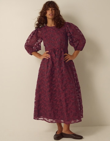 Monsoon Wren Embroidered Organza Dress