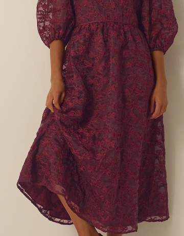 Monsoon Wren Embroidered Organza Dress