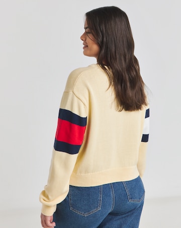Tommy Jeans Center Flag Sweater EXT