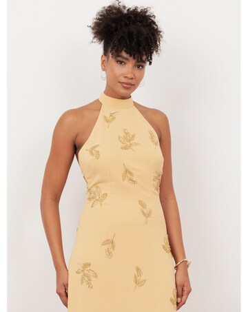 Maya Deluxe Embellished Dress