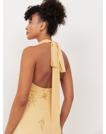 Maya Deluxe Embellished Dress