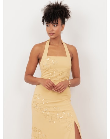 Maya Deluxe Embellished Dress