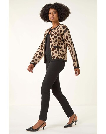 Roman Elastic 31" Denim Stretch Jegging