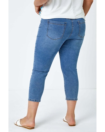Roman Curve Cropped Denim Jeggings