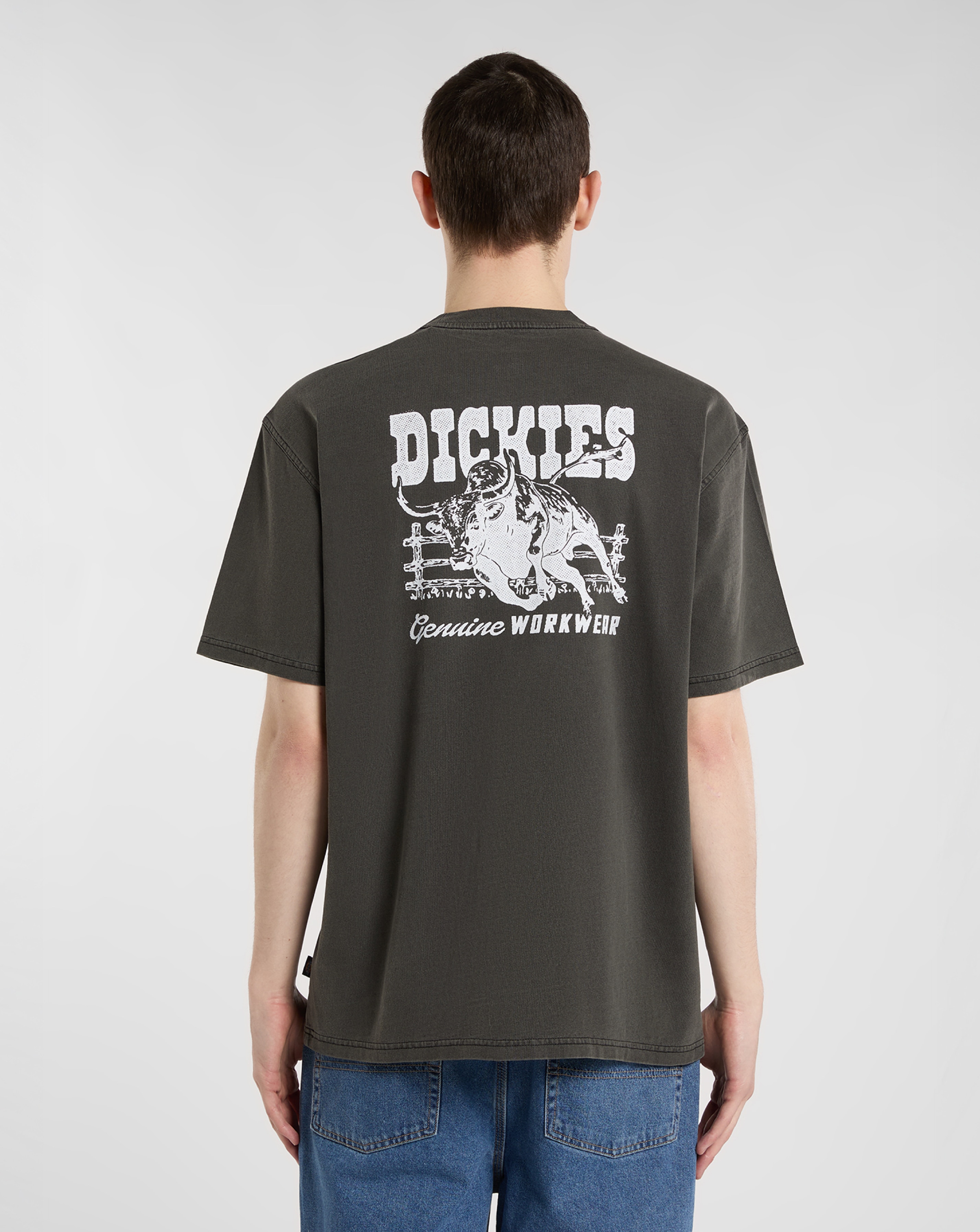 New In - Dickies Buchtell Back Graphic T-Shirt