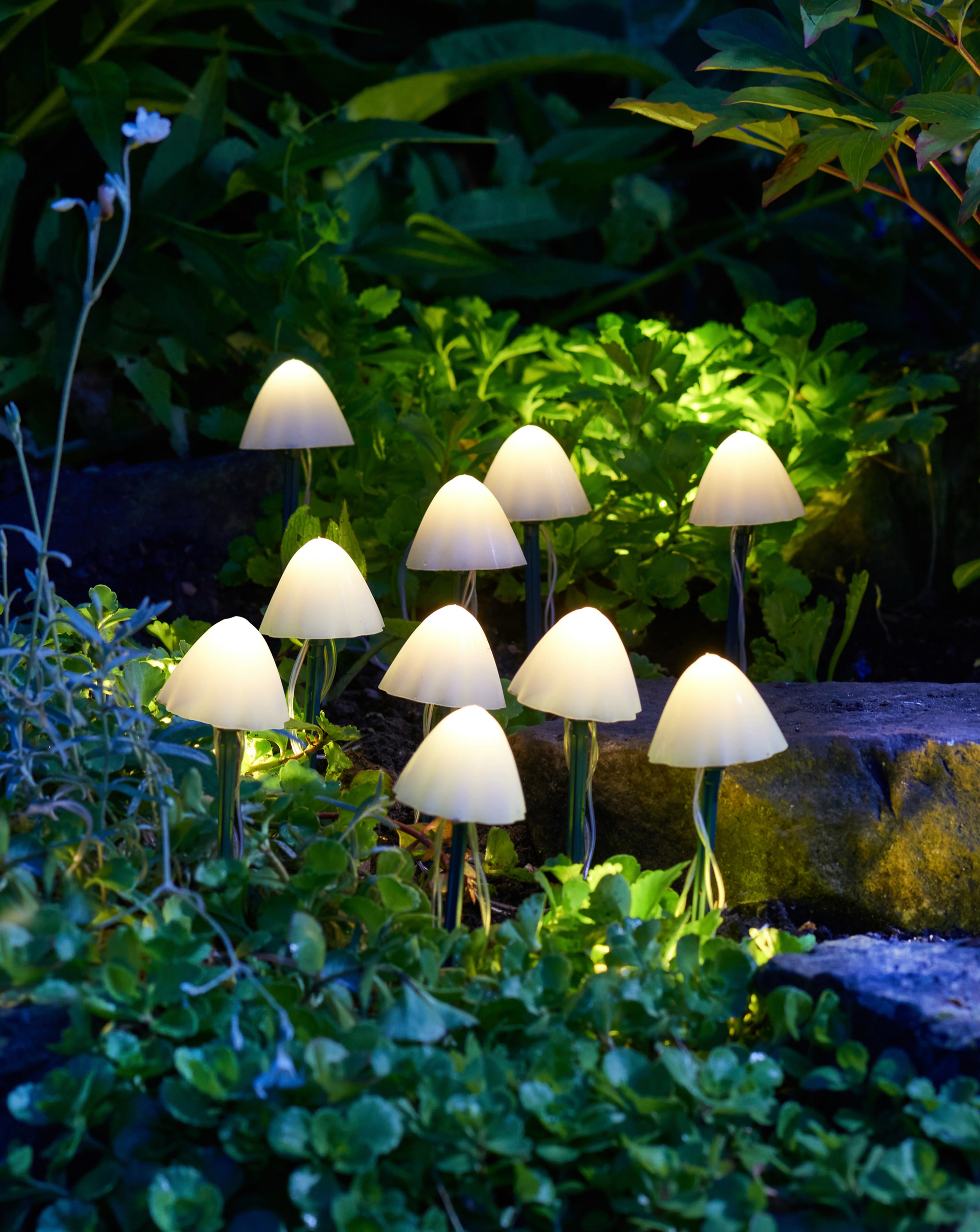 New In - LumiShroom Stake Lights, Set of 10
