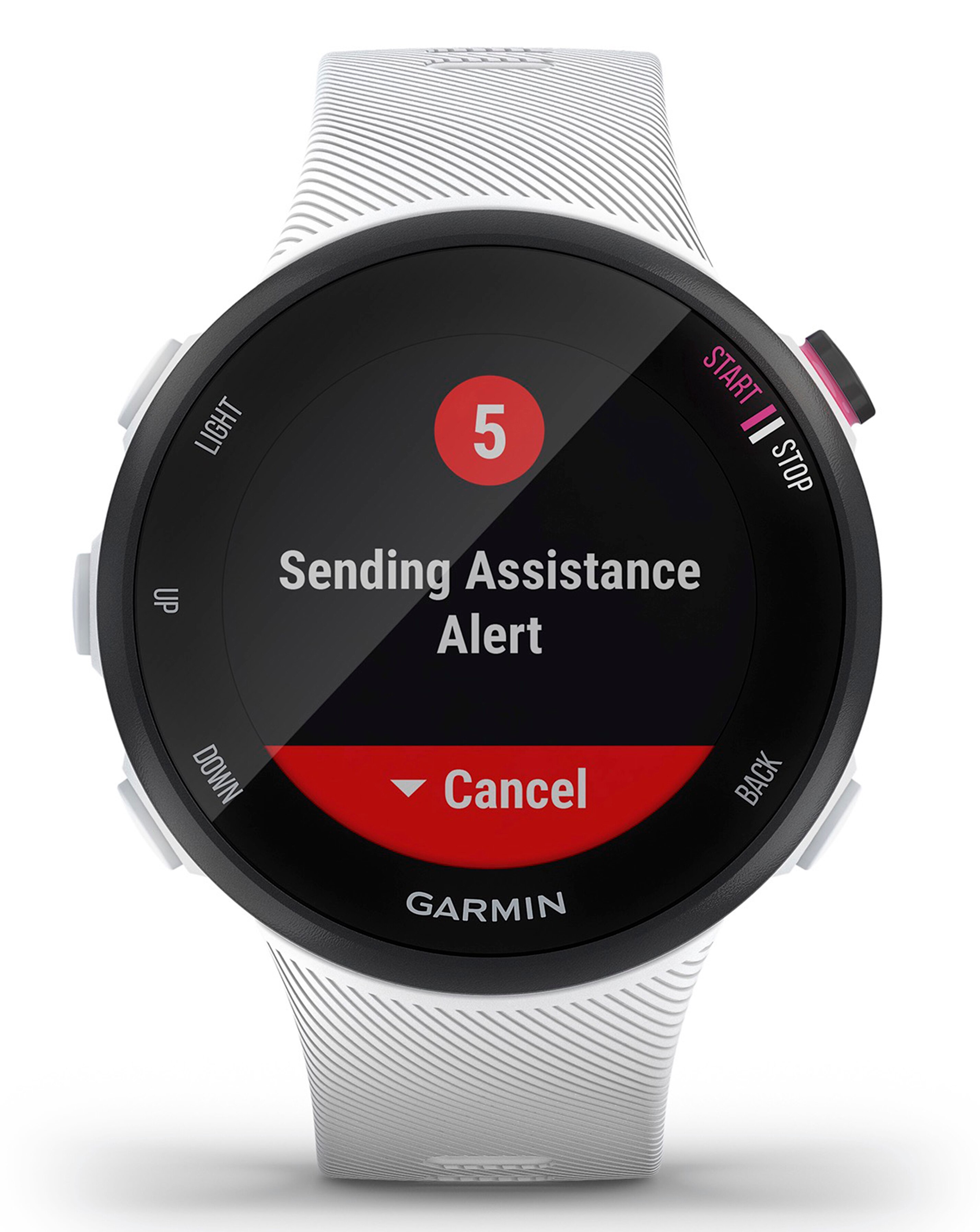 Garmin Forerunner 45s Sport Watch | J D 