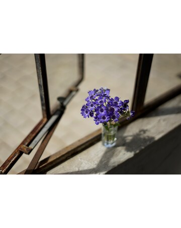 Sony SEL50F18F E Mount 50 mm f/1.8 Full Frame Prime Lens