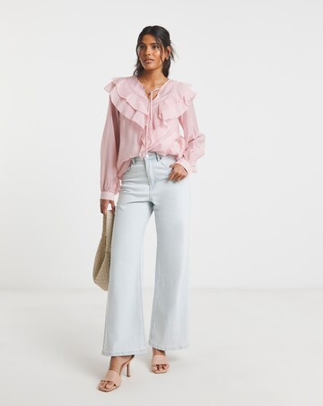 Blush Ruffle Sheer V Neck Blouse with Tie Neck Detailing