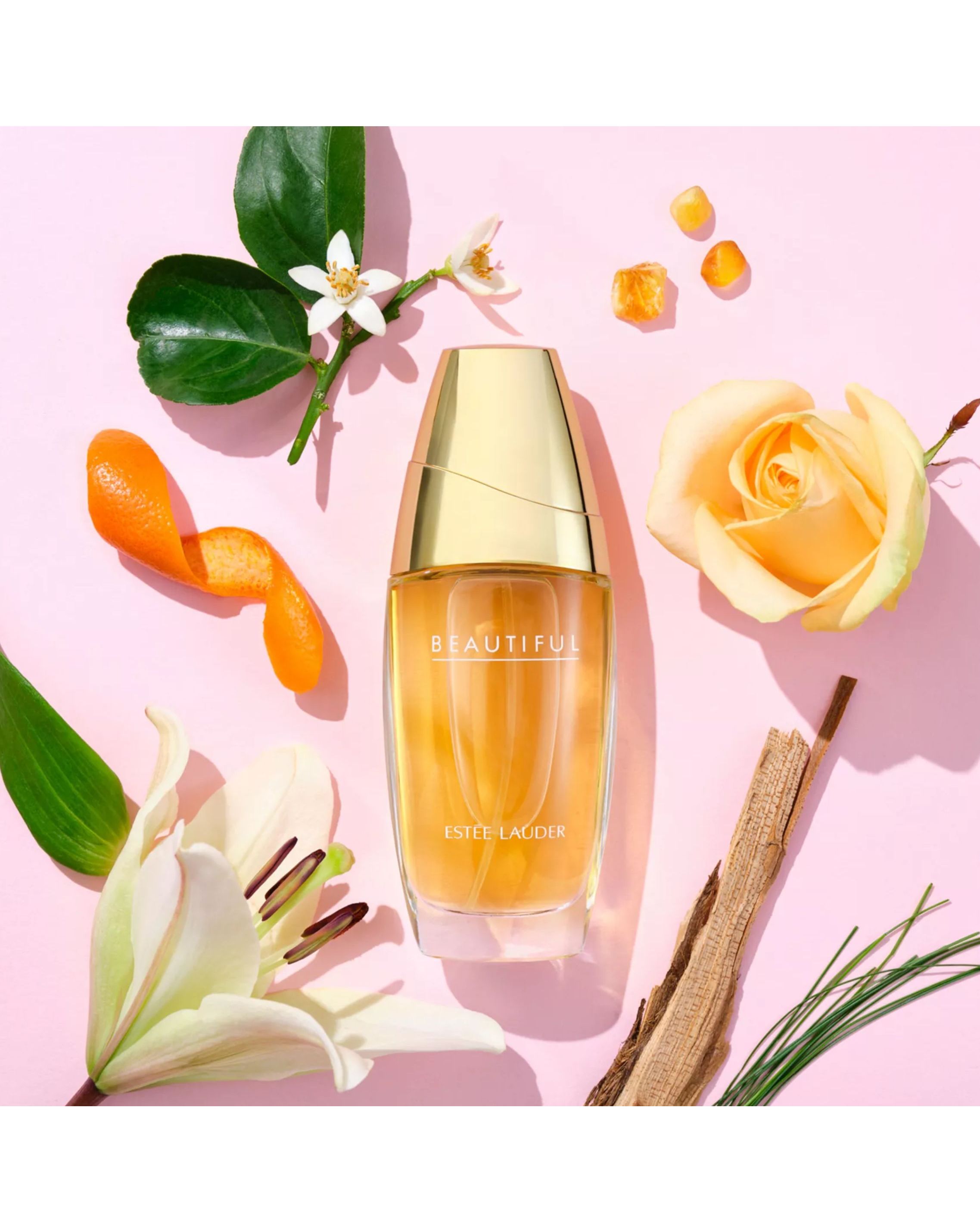 Estee Lauder Beautiful EDP 75ML | JD Williams