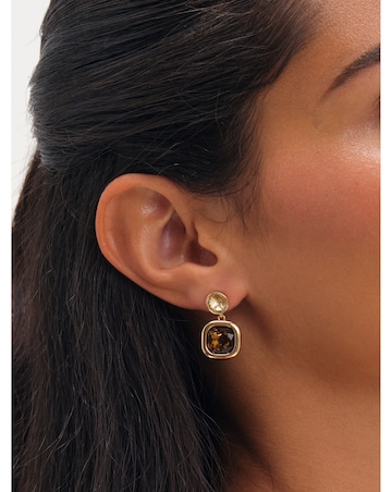 Jon Richard Gold Plated Champagne And Brown Stone Drop Earrings