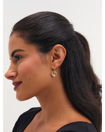 Jon Richard Gold Plated And Champagne Stone Earrings