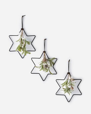 Christmas Mistletoe Stars