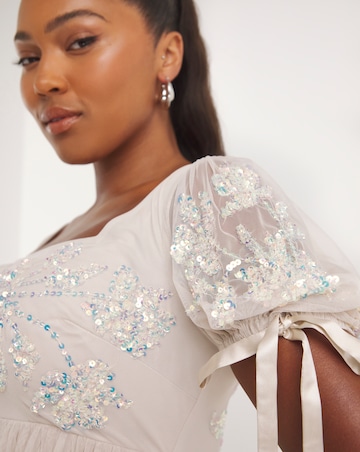 Maya Curve Puff Sleeve Glitter Embroidered Tulle Mini Dress